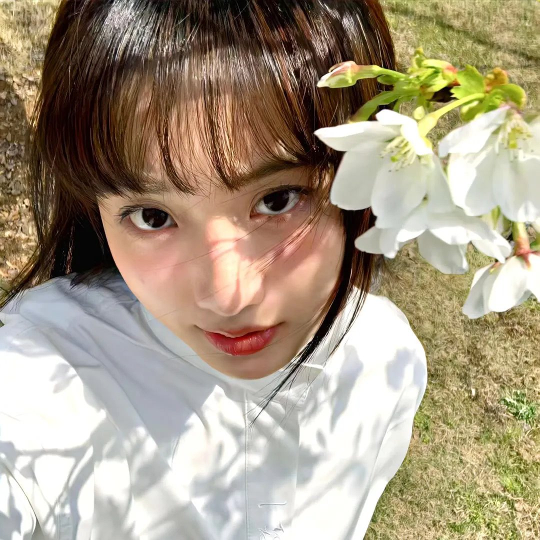 江豚·风时舞